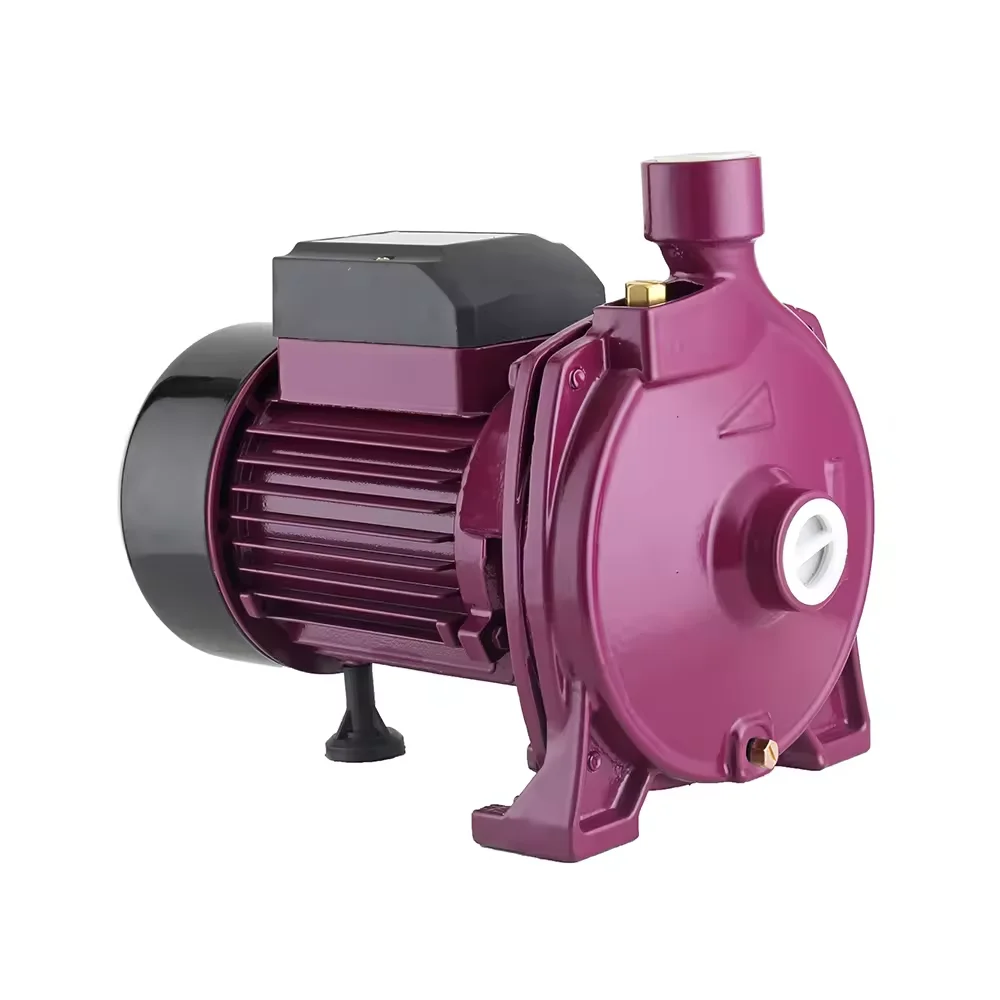 Domestic Electric 100% Copper Wire Self-Priming Centrifugal Pump with Fitting