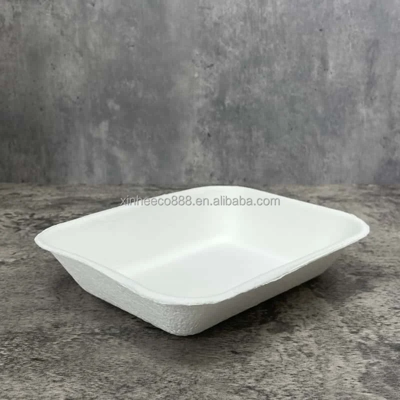 Modern Eco-Friendly Disposable Sugarcane Bagasse Bowl Biodegradable Tableware for Camping Food Packing