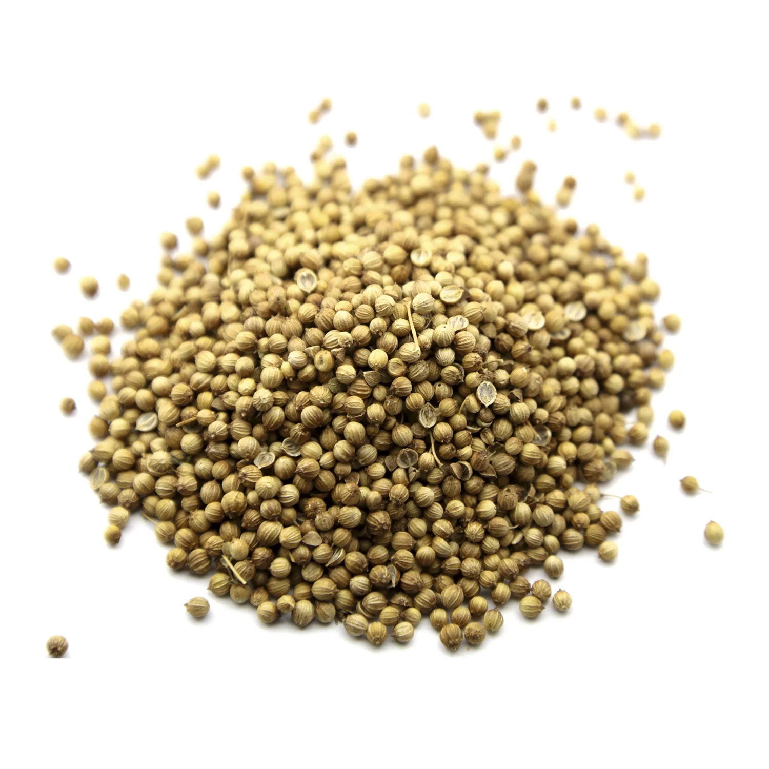 Natural whole coriander seeds in bulk, wholesale price