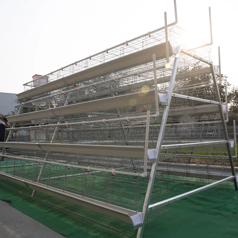 Commercial Chicken Cage Price for Poultry Farm Equipment Egg Laying Chicken Cage for Sale