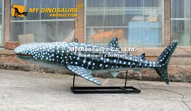 hanging-whale-shark