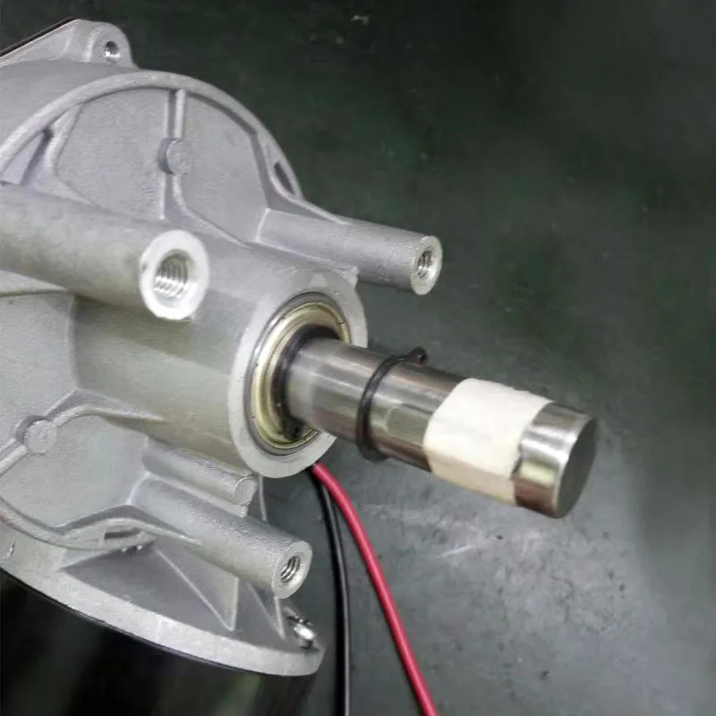 Custom-Made 12V High Torque 200Kg Worm Gear 24V 350W Dc Motor with Optical Encoder