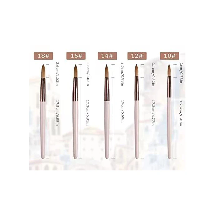 2022 Professional Transparent Phototherapy Kolinsky Uv Gel Nail Brush