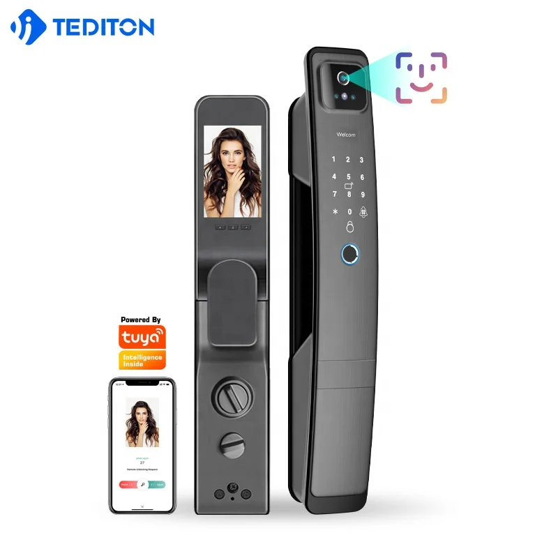 TEDITON Wifi Tuya APP Security Digital Rfid Handle Face Door Lock with Eye Camera Scanner Recognition