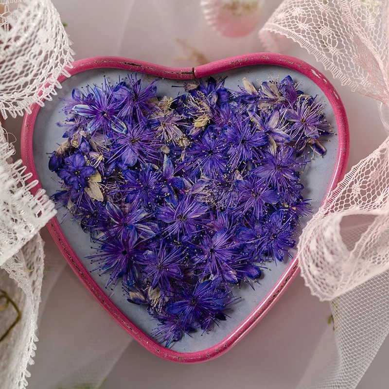 12pcs/bag Symplocos Paniculata DIY Nail Art Candle Soap Making Natural Plant Eco-friendly Real Pressed Flower