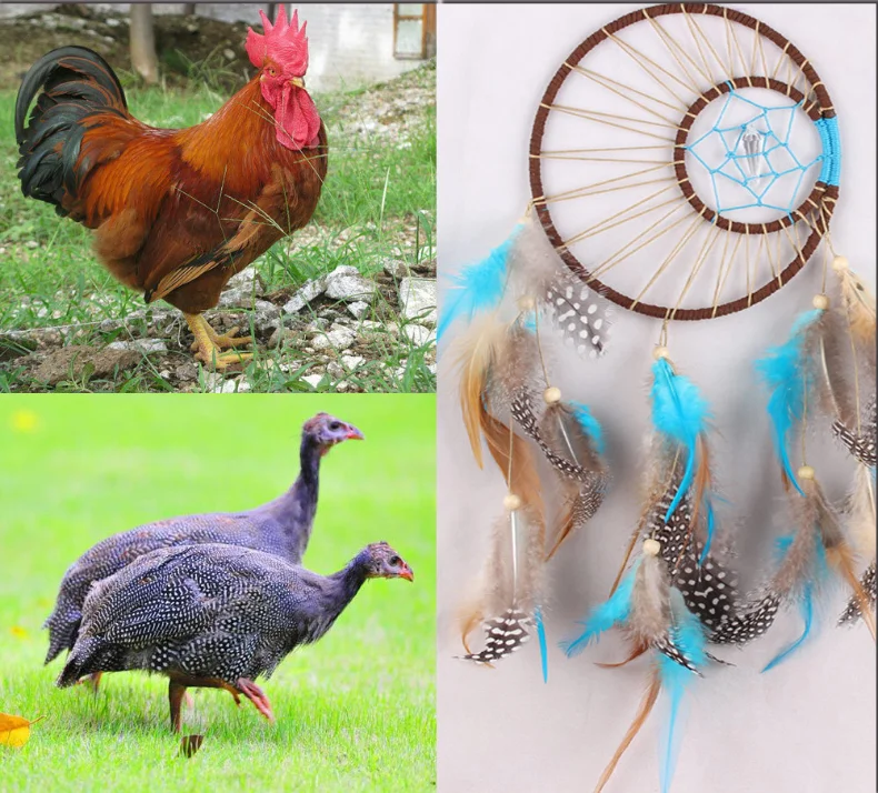 Wholesale Handmade Boho Hanging Feather Dream Catcher for Car Home Room Door Wall Art Party Decor Ornament Gift Craft DIY Kit