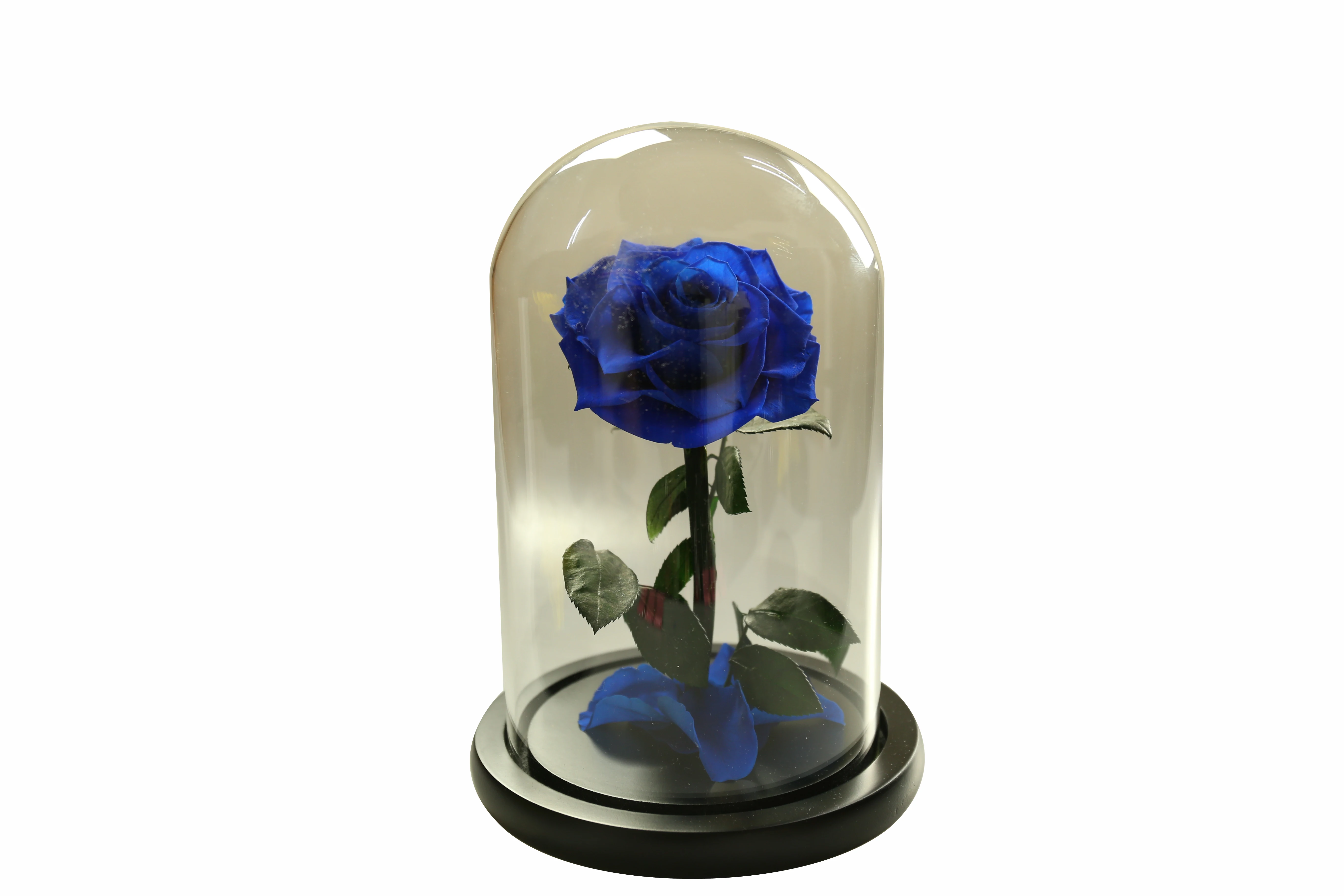 Drop shipping Stabilized Preserved Flower Bouquet Gift Box Christmas Gift Rose Flower sunflower best ideas Gift flower orchid