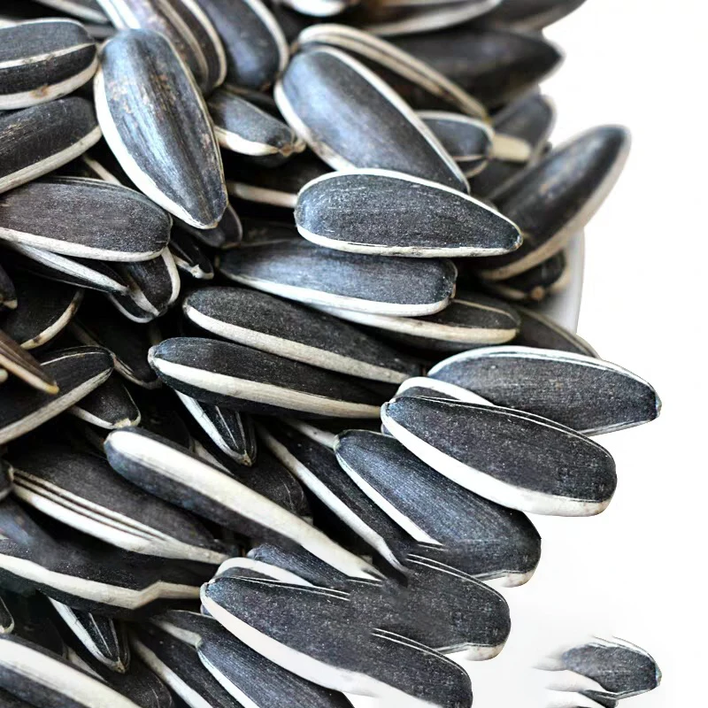 Large grain Inner Mongolia sunflower seeds and melon seeds edible batch found fried original sunflower seeds