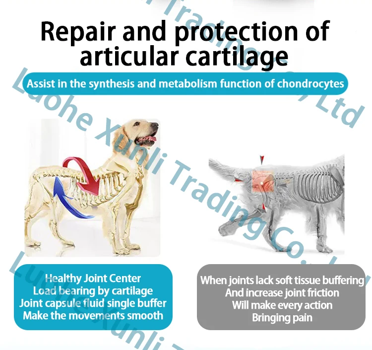 Private Label Formula for Dogs and Cats Chondroitin Calcium  Soft Chews Bone Hip And Joint Health Supplement