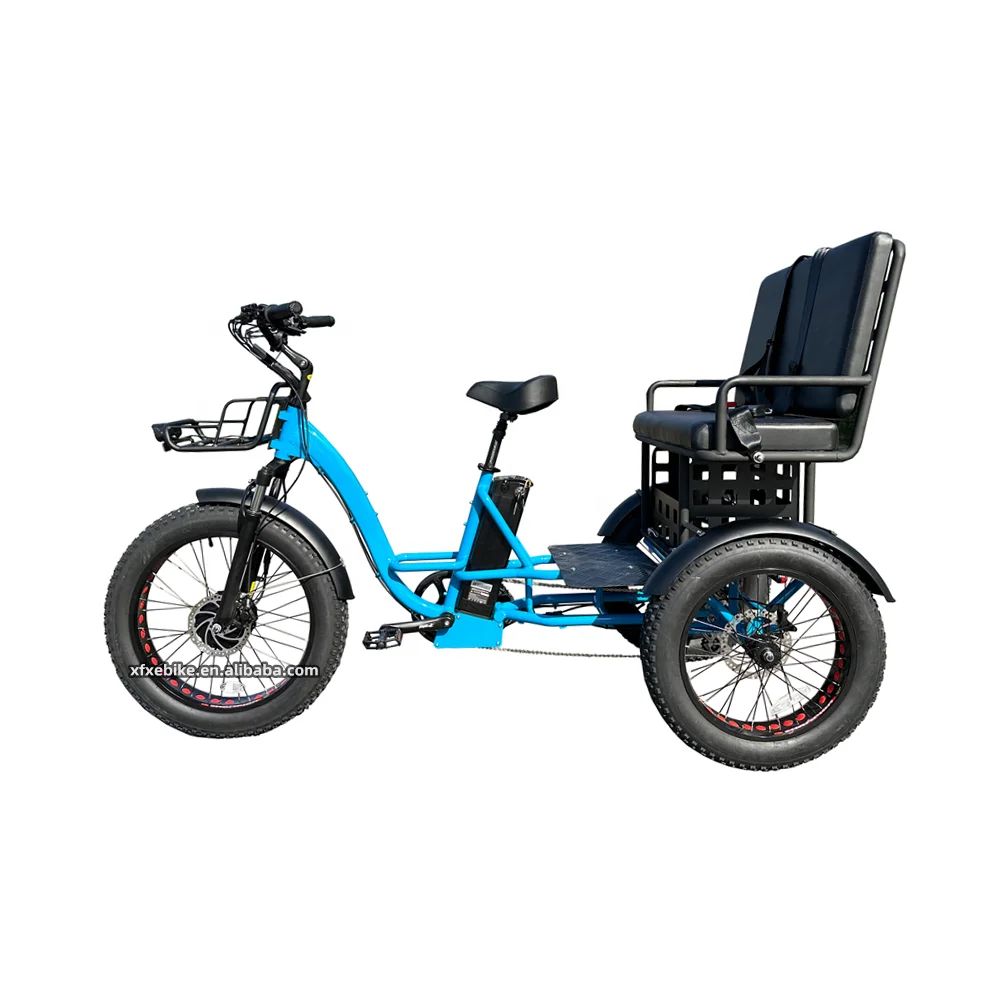 Max Loading 48V 19.2Ah Electric Cargo Bike 750W Rear Hub Motor 26Inch 3 Wheel Trike Ebike Bicycle electric tricycles