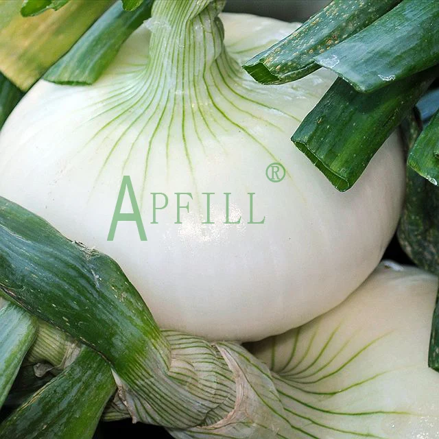 Fresh peeled onions package in vacuum bag keep fresh more than 6 months supply from Yunnan wanhui a manufacturer vegetables