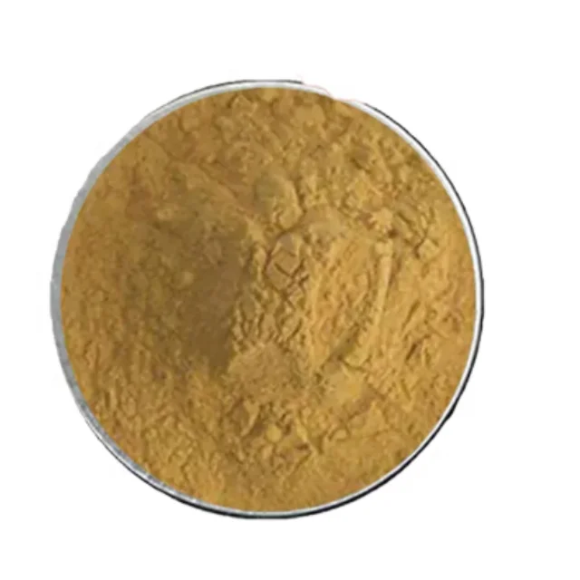100% Pure Organic Chia Seed Extract Food Grade Herbal Supplement Liquid Certified Wild Halal Available Bulk Packaging-1kg Drum