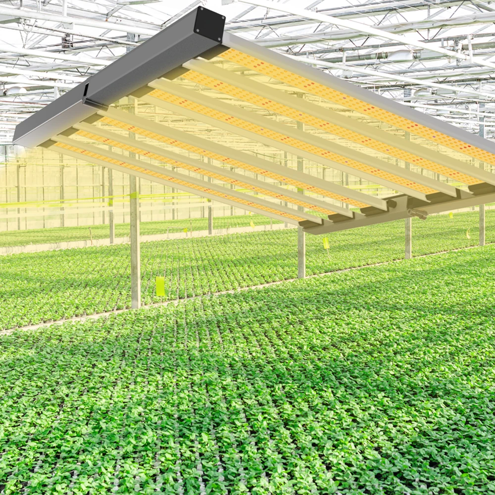 Foldable 320W LED Grow Light LM281B 730nm 6bar Full Spectrum Indoor Solar Grow Light for Greenhouse Vegetable Growing