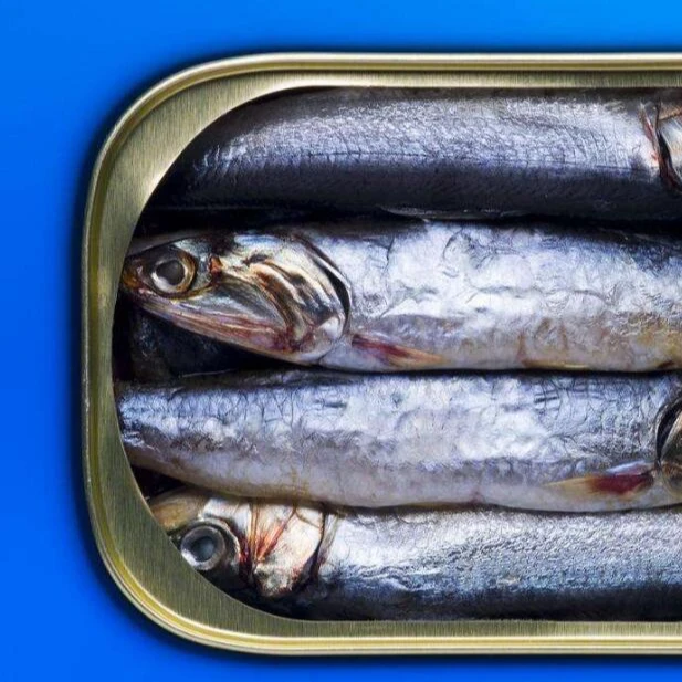 
Healthy brine canned sardines china 155g 155g.425g 
