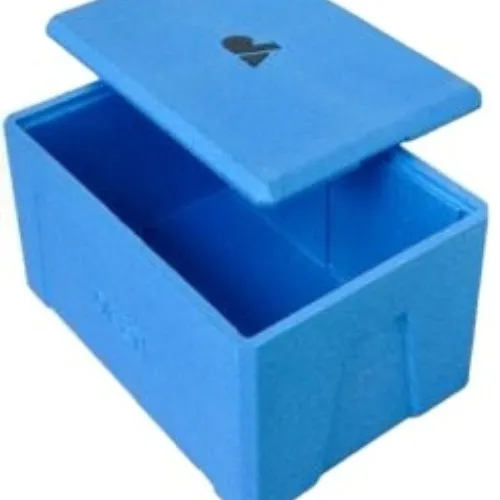 Green Material EPP Catering Fresh Food Cooler Container Restaurant Raw Food Storage Box