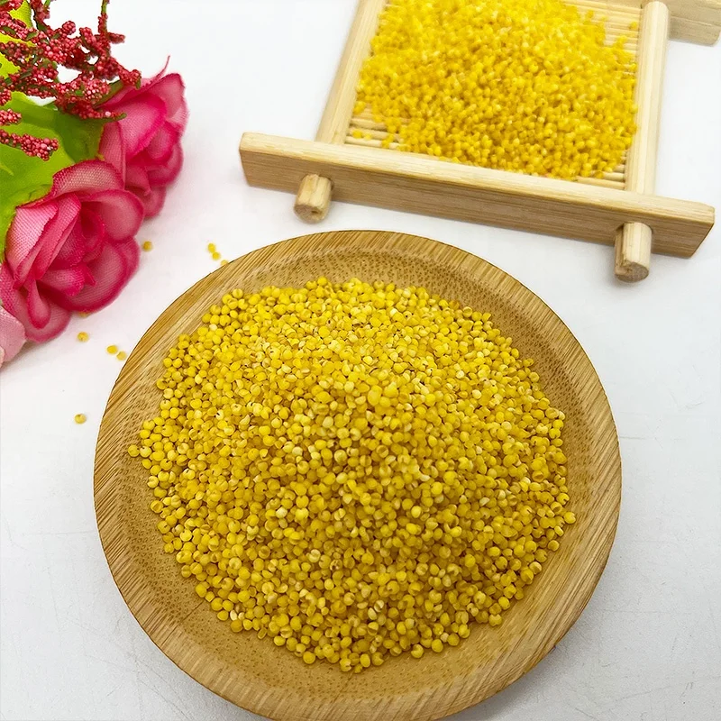 China origin Low Price bulk hulled yellow pearl millet Organic Yellow Millet for porridge