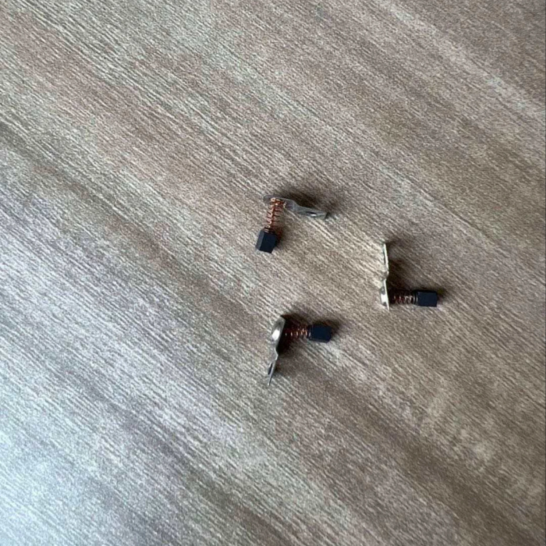 carbon brush