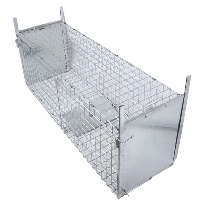 2-Door Live Animal Trap Is Ideal for Catching Squirrels Weasels Chipmunks Rats and Nuisance Animals