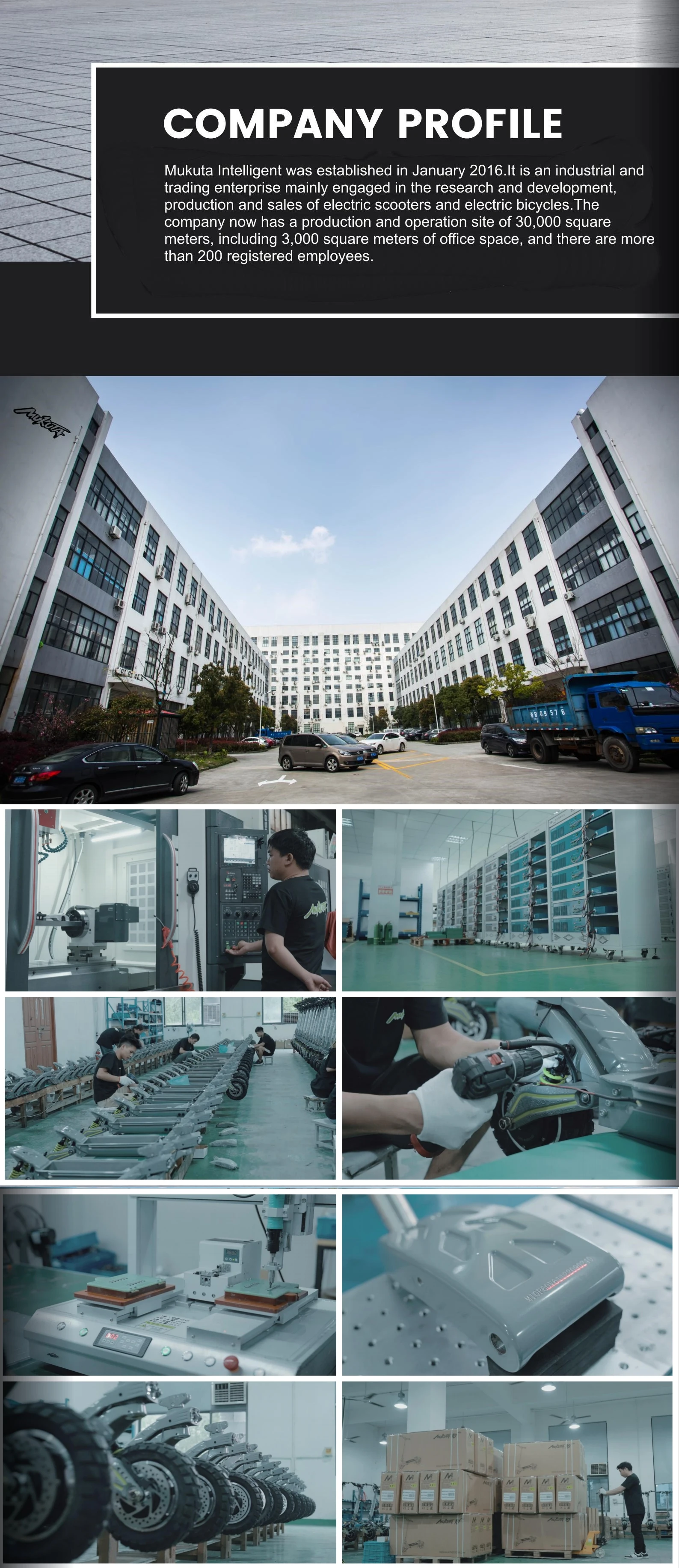 Electric Scooter company.jpg