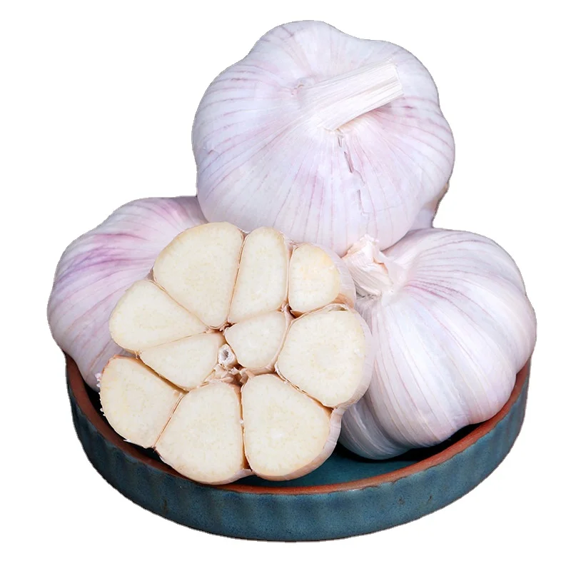 High Quality Health Food Garlic Wholesale Market Price Fresh Garlic