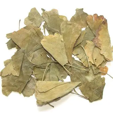 
Natural 100% ginkgo biloba leaves 