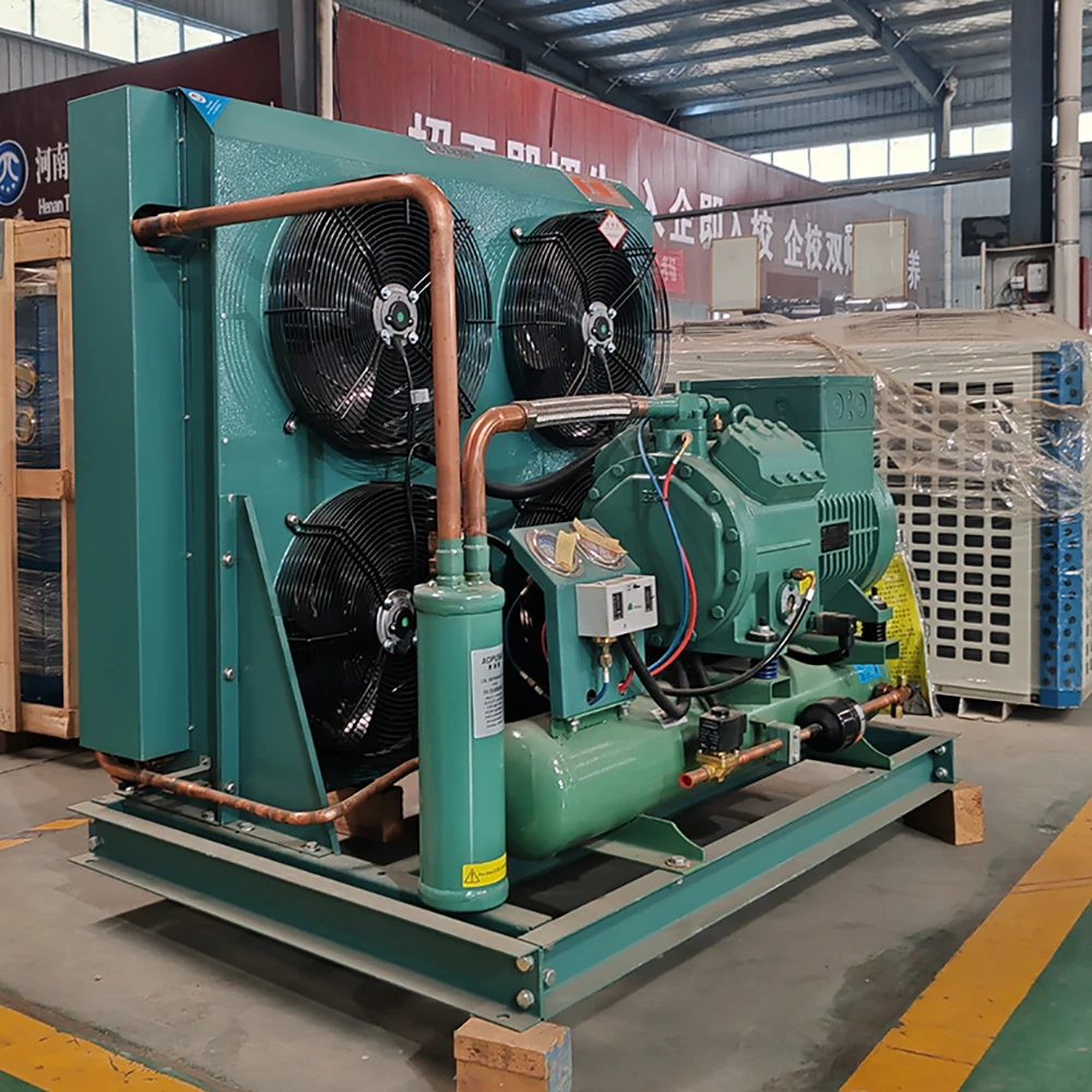 Customization high quality wall air colder refrigeration equipment cold room 2 hp refrigeration condensing unit