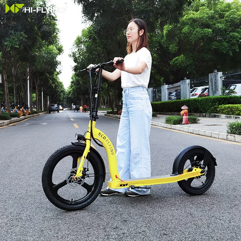 EU Warehouse Hot Sale Eco-Flying 350W 10Ah Big Wheels Foldable Electric Scooter