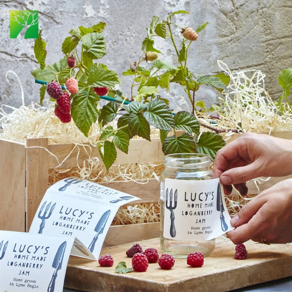 Праздничные подарки, подарочный набор джема Loganberry, саженцы фруктового дерева для сада