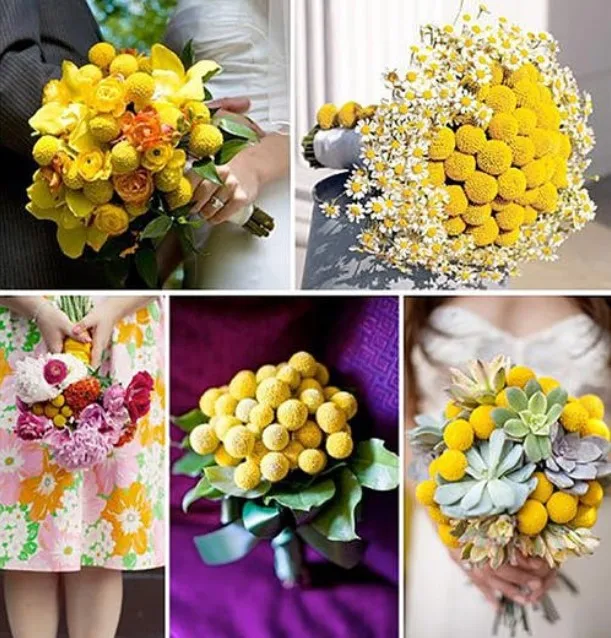 Hot sales 2020 Flower arrangement DIY artificial sunflower bunch preserved Golden billy ball for DIY home decor arrangement