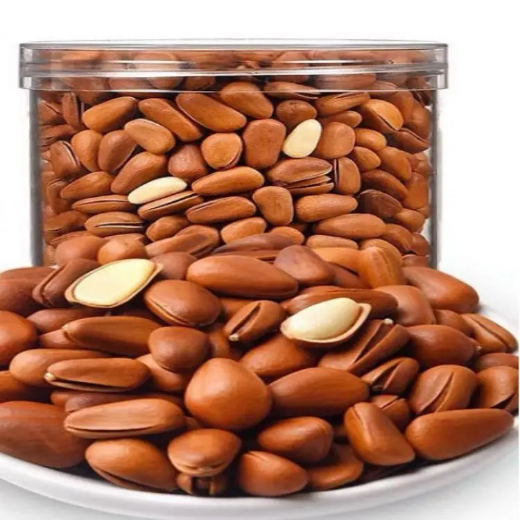 An organic pine nut used for oil extraction