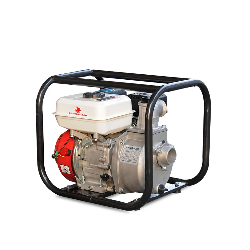China 2 Inch 1 Cylinder Gas Engine Trash Water Pump for Sale