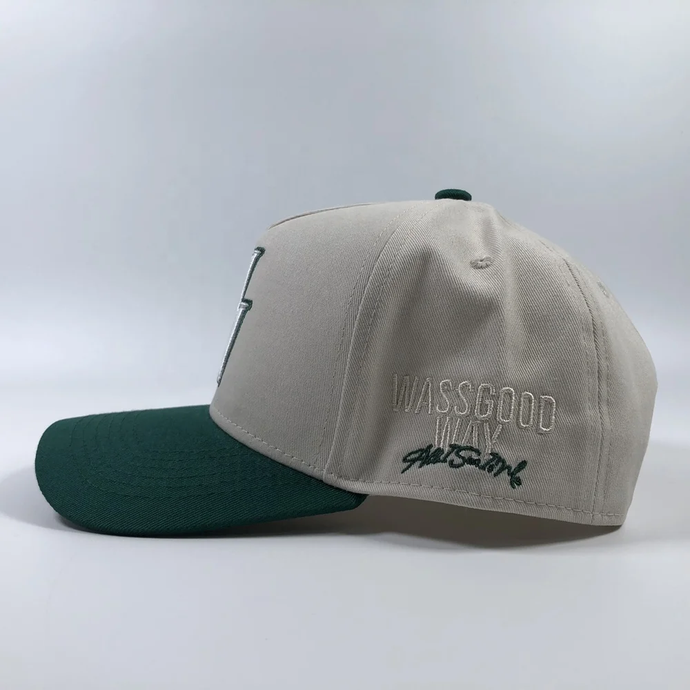 OEM popular hot sale unisex cotton colorful 5 panel structured A frame snapback hat with 3D logo baseball caps custom embroidery