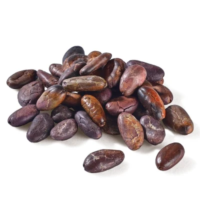 100% Quality roasted cocoa beans for sale Bulk cocoa beans/Cocoa Beans