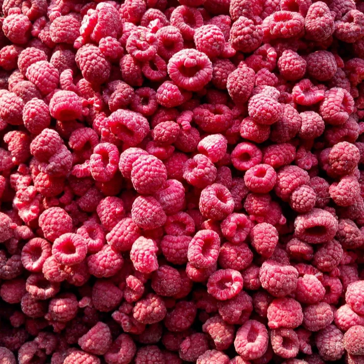 
Cheap IQF frozen raspberry 