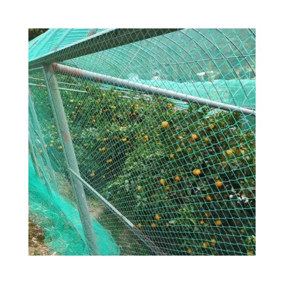 Best sale HDPE  knotted anti bird protection net bird mesh anti bird net for fruit tree garden fishpond