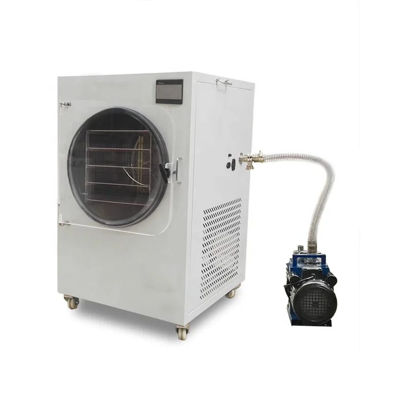 dried fruit& vegetable processing/fruits food vacuum freeze dry/vegetables lyophilizer freeze dryer