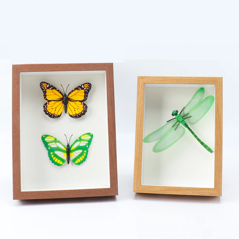 8x10 дюймов 3d коробка для глубоких теней образцов