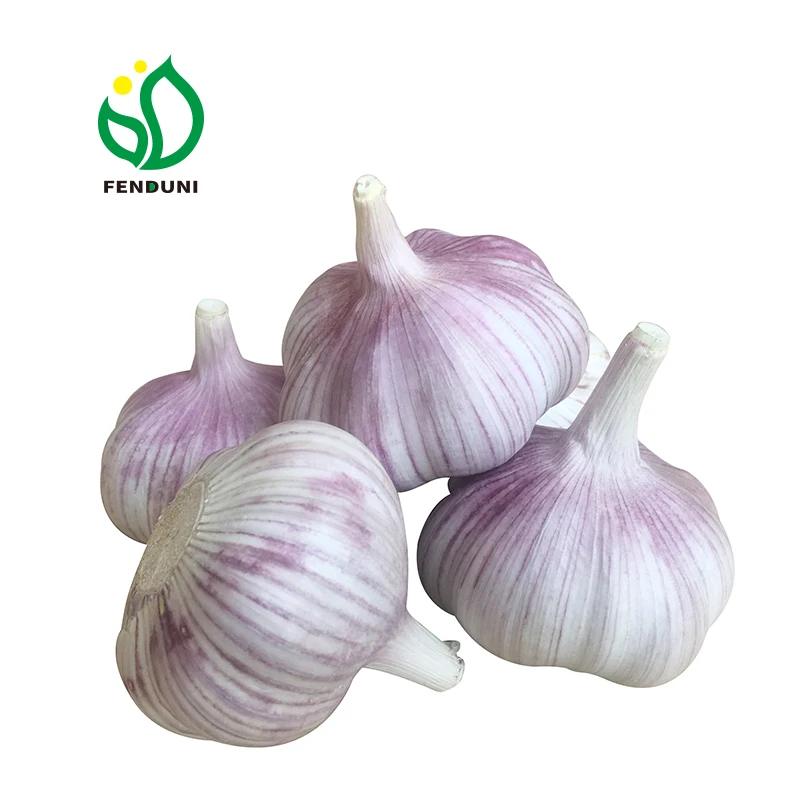 
2019 Chinese New Fresh White Garlic of 20kg mesh bag 