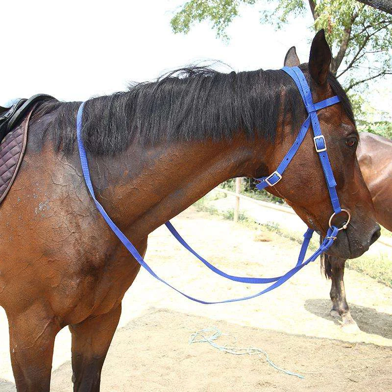 Horse Riding Accessories Horse Girth Bridle PVC Material Equestrian Stainless Steel Bits Horse Rein Bridle