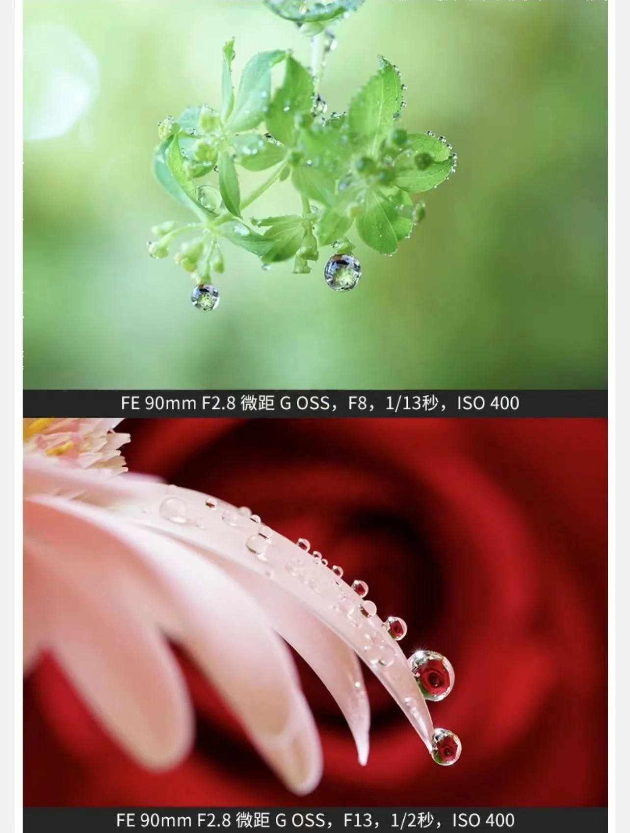 DF Wholesale Original Used Mirrorless Camera Lens FE 90mm F2.8 OSS G Super Macro Lens 90mm Objective Lens