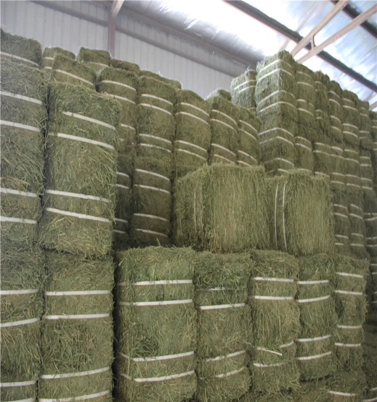 
Polypropylene baler twine wholesale for agriculture 