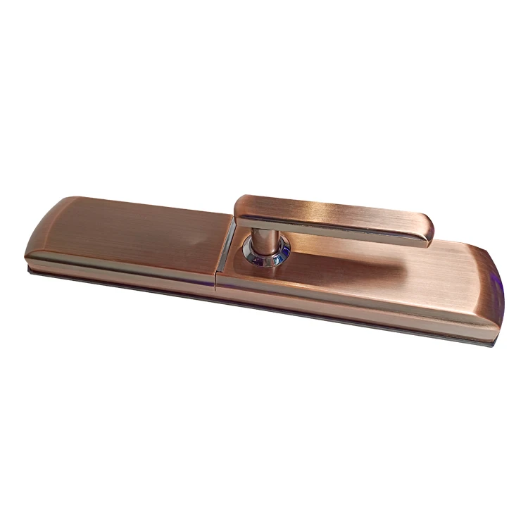 Waterproof TTLock App Fingerprint Password Keyless Entry Smart Sliding Aluminum Door Lock
