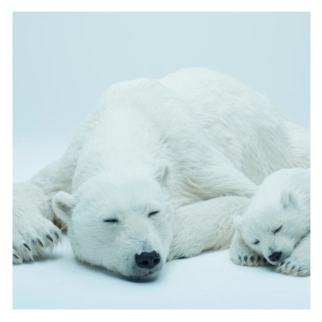 100% Artificial Polar Bear Giant Japanese Sculpture Decor Home