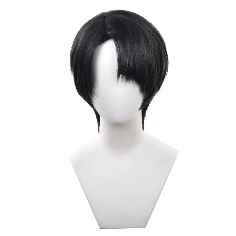 Wholesale Levi Ackerman Wig Cosplay 30cm Short Black Straight Attack on Titan Anime Peluca Synthetic Halloween Party Hair Wig
