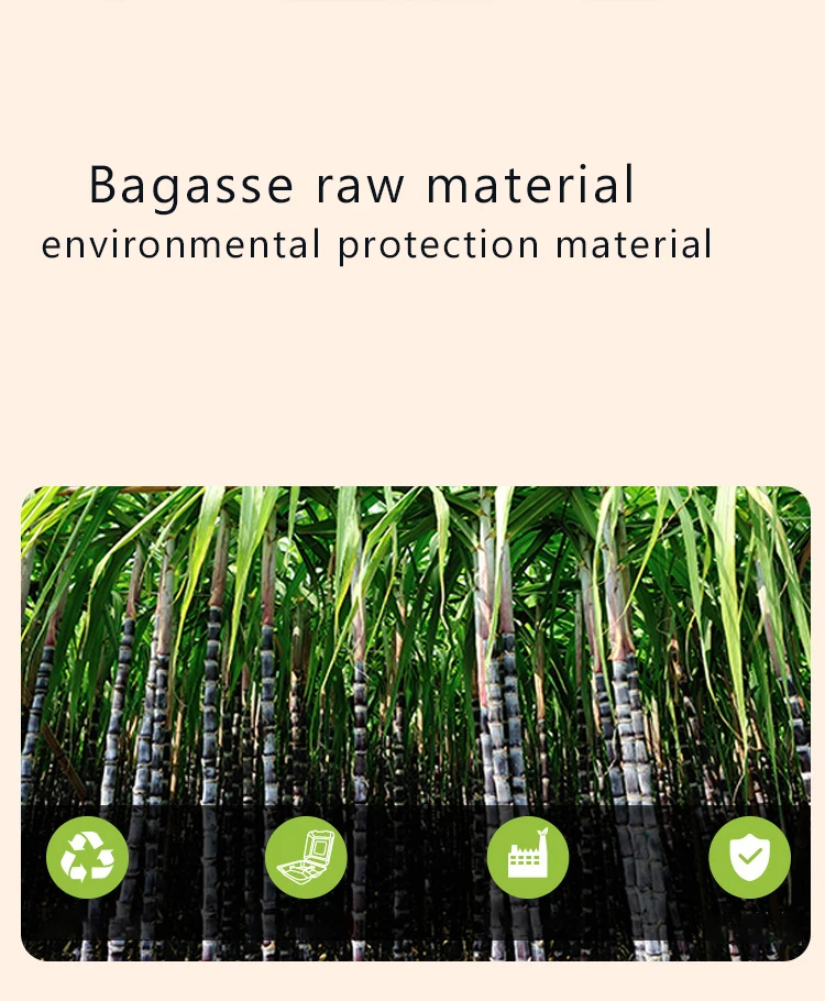 Manufacturers direct low minimum order volume degradable bento cake takeout packaging box