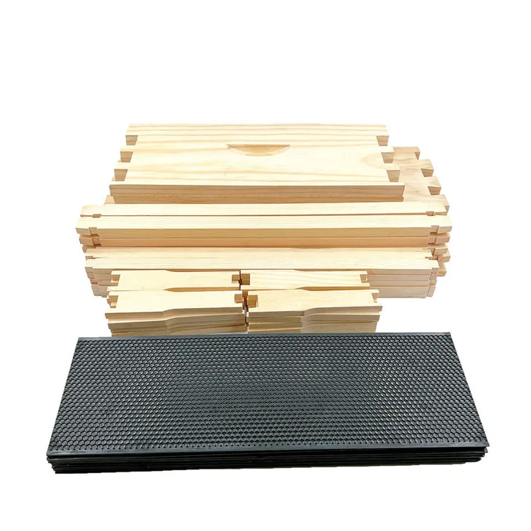 10 Frame Medium Super Box for Honey Bee Hives Beeswax Coated Bee Frames with Plastic Rite-Cell Foundation Sheet