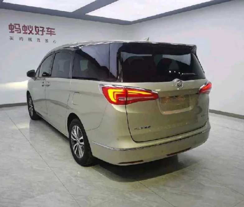 2019 year Buick GL8  used car  for sale