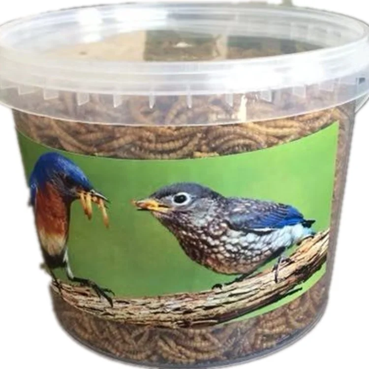 baby bird food