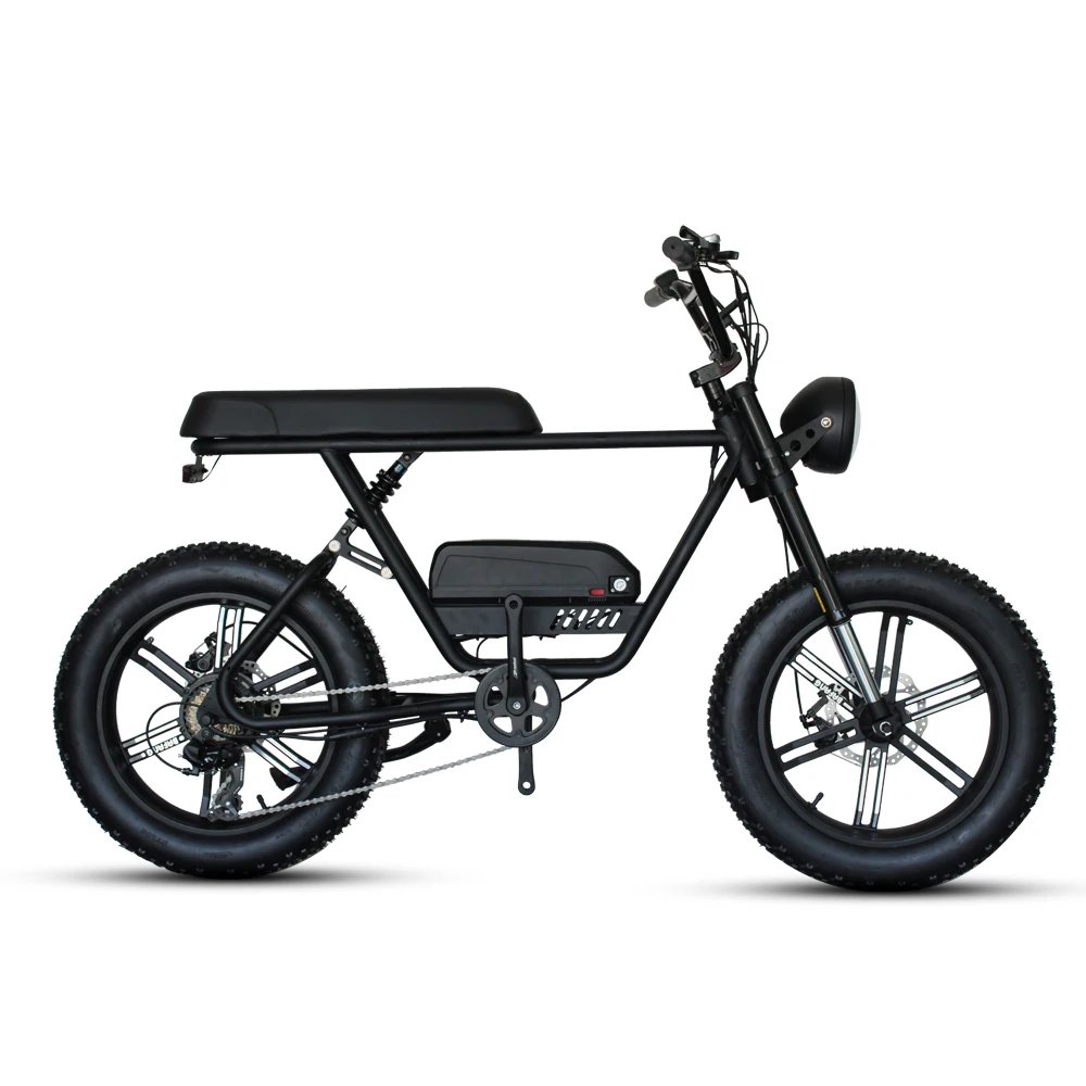 Best Price 1000W E Mountain Bike