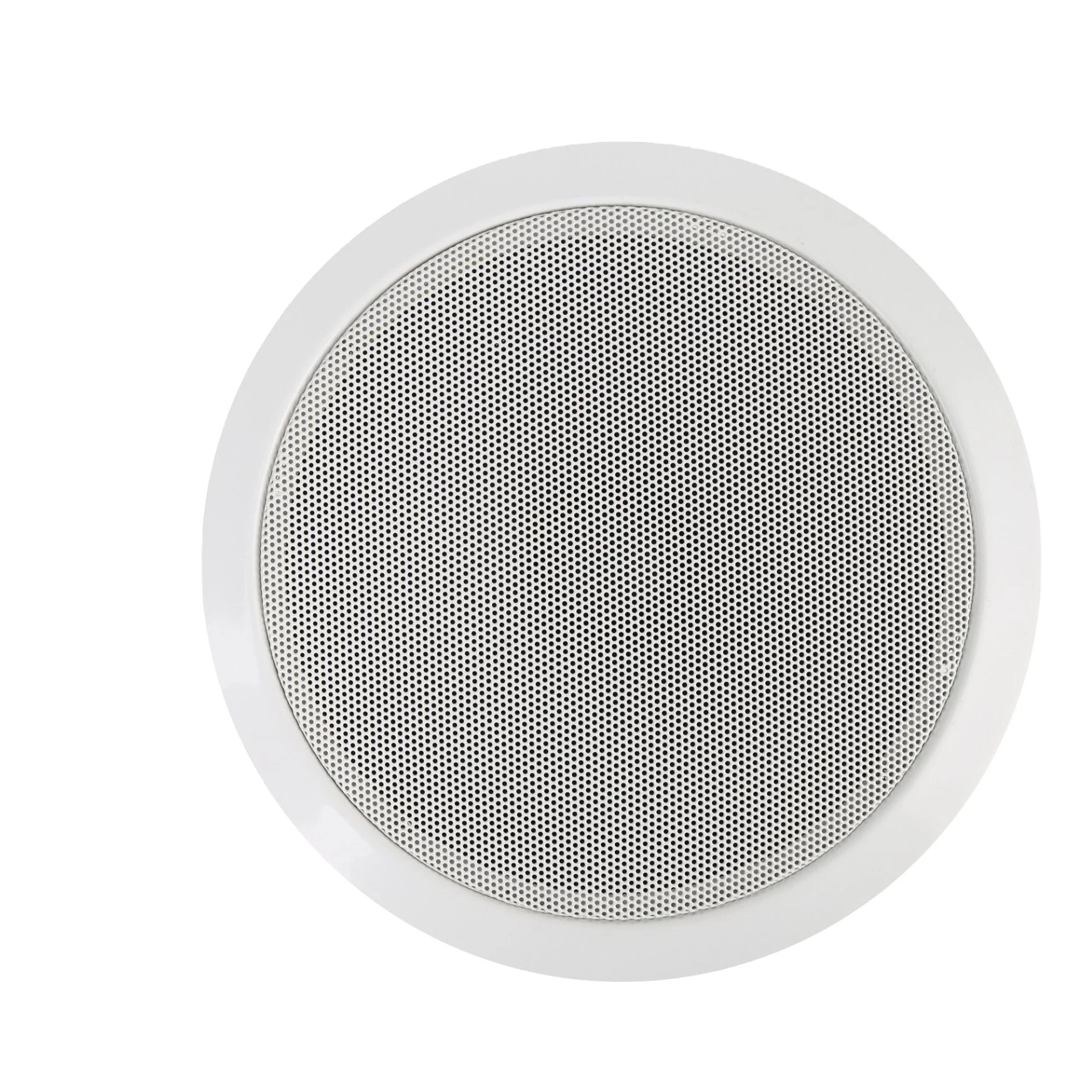 6' Ceiling Speaker with Metal Fire Dome bluetooth ceiling speaker